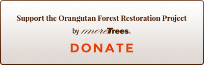 オラウータンの森 再生プロジェクトを支援する