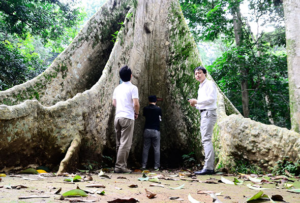 火災跡地への植林